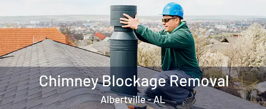  Chimney Blockage Removal Albertville - AL