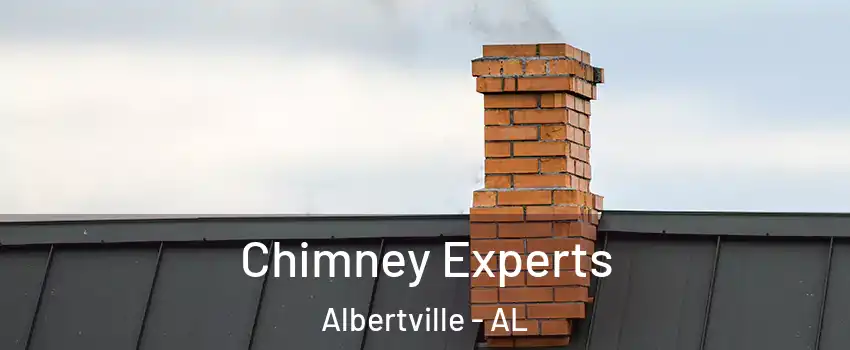 Chimney Experts Albertville - AL