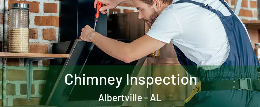  Chimney Inspection Albertville - AL