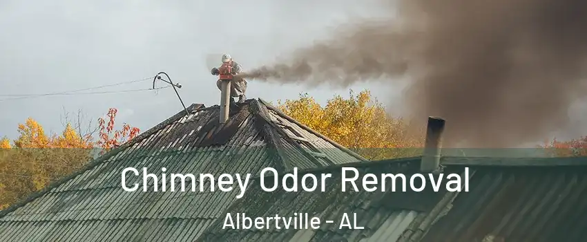  Chimney Odor Removal Albertville - AL