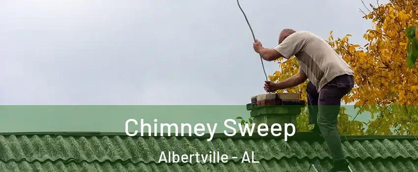  Chimney Sweep Albertville - AL