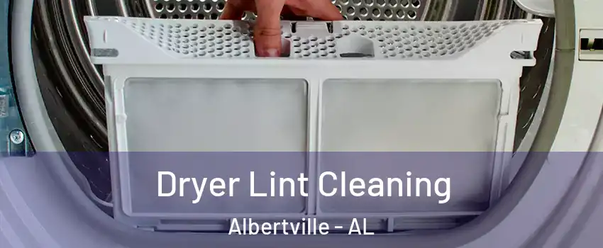  Dryer Lint Cleaning Albertville - AL