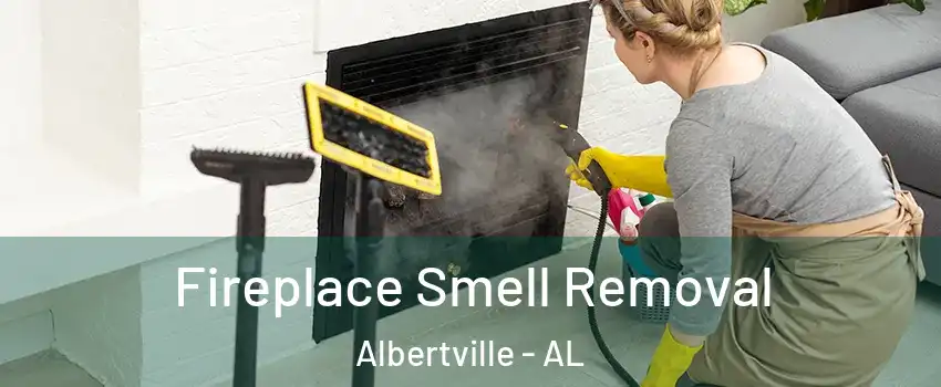  Fireplace Smell Removal Albertville - AL
