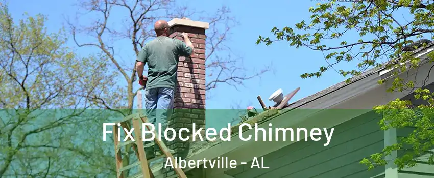  Fix Blocked Chimney Albertville - AL