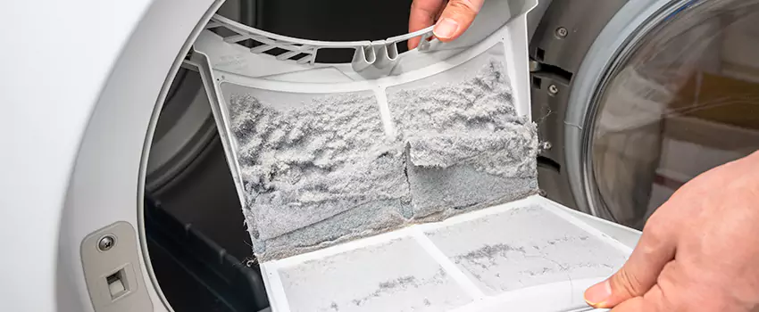 Best Dryer Lint Removal Company in Albertville, Alabama