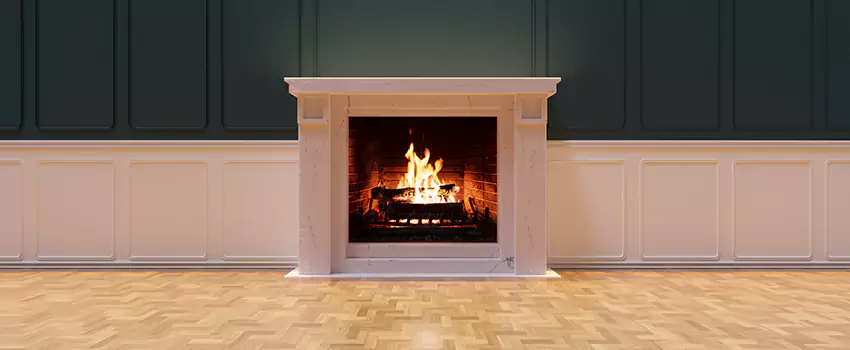 Napoleon Electric Fireplaces Inspection Service in Albertville, Alabama