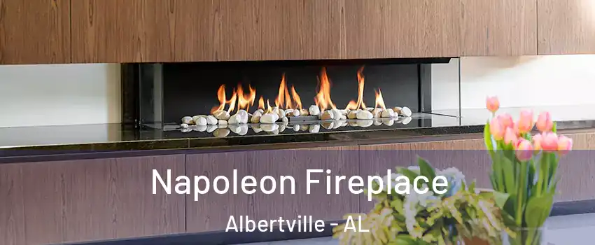  Napoleon Fireplace Albertville - AL
